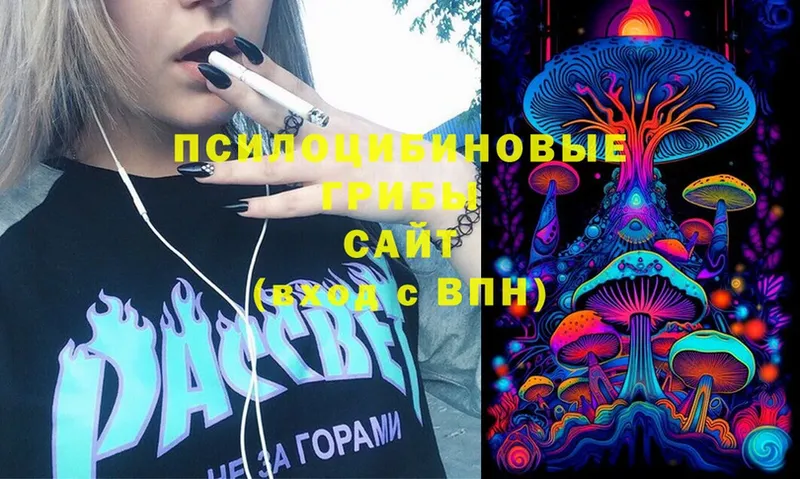 Псилоцибиновые грибы MAGIC MUSHROOMS  Кремёнки 